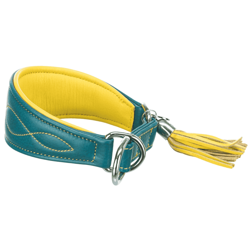 Active Comfort Halsband für Windhunde, petrol/gelb