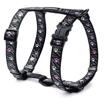 Asti Glow dog harness