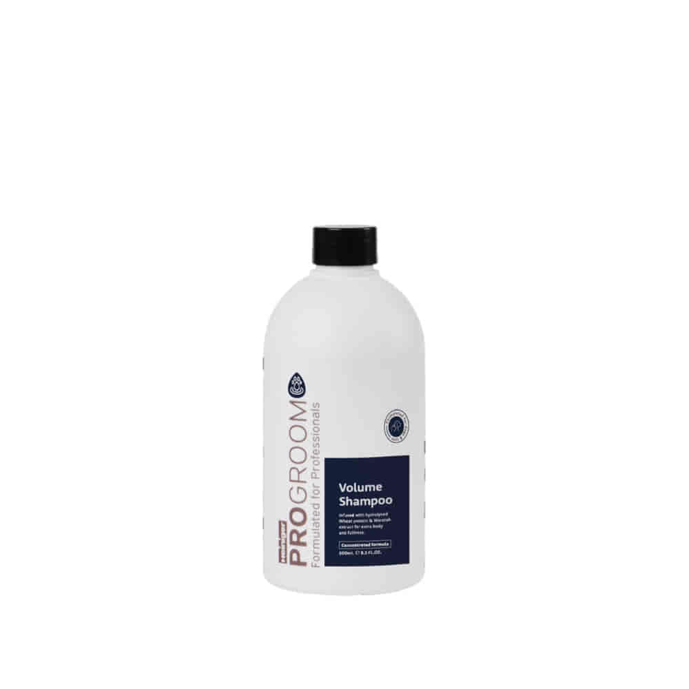 Volume Shampoo