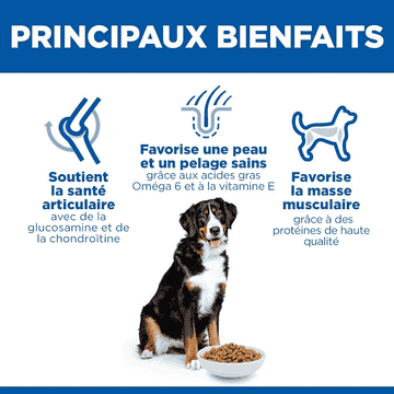 Canine Adult Large Breed Chicken