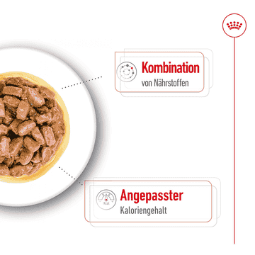 Mini Ageing Gravy -  Frischebeutel