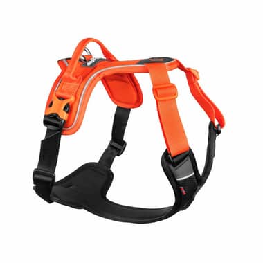 Ramble Harness Orange/Black