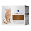 Renaltan tonic for cats