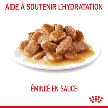 Hairball Care Gravy - Sachet