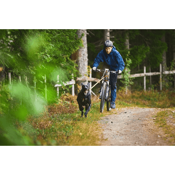 KLICKfix Bike Antenna