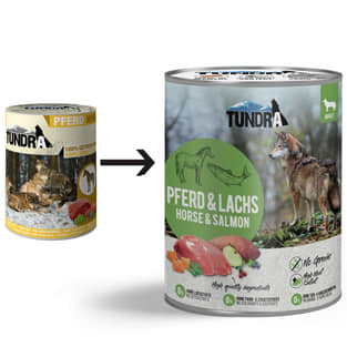 Dog Pferd und Lachs - Dose