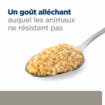 Canine l/d Liver Care - Boîte