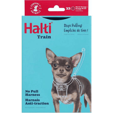 No Pull Harness, orange