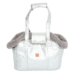 Lucky Bag Paper silver