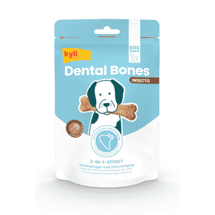 Dental Bones Insecto
