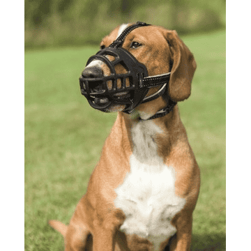 Muselière Muzzle Flex