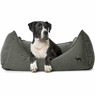 Canapé pour chien Livingston anthracite
