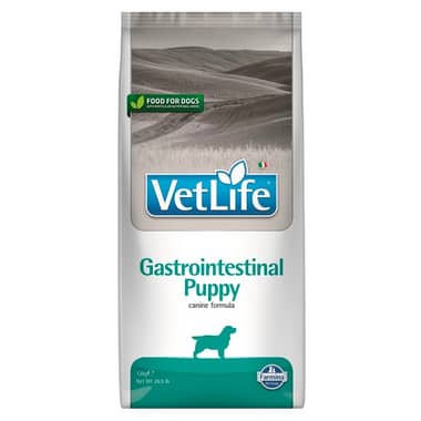 Canine Puppy Gastrointestinal