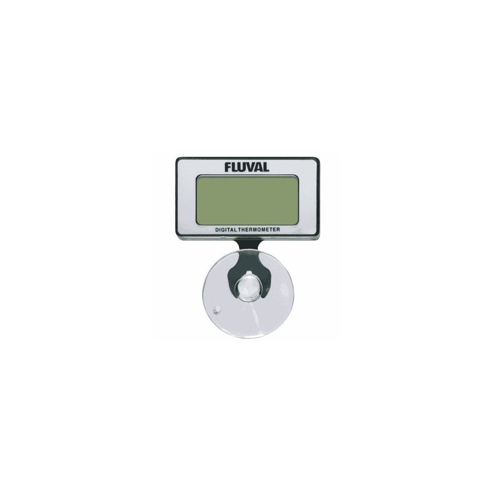 Celcius Digitalthermometer