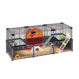 Cage pour rongeurs Multipla Hamster Large