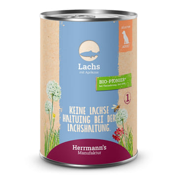 Selection Lachs mit Aprikose