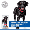 Canine Perfect Weight + Active Mobility Large Breed