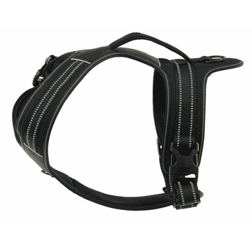 Harness Adven, black M