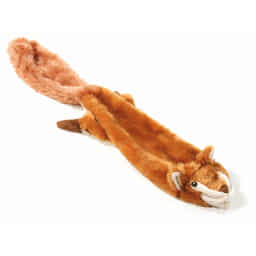 Schlappi Écureuil