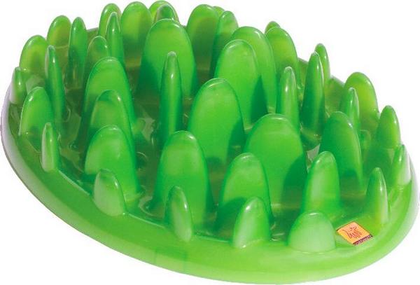 Green Slow Dog Feeder