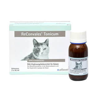 Reconvales Tonicum Katze