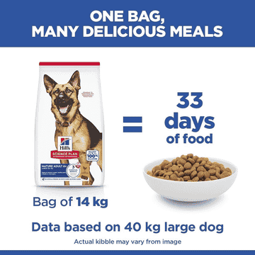 Canine Mature Adult 6+ Large Breed