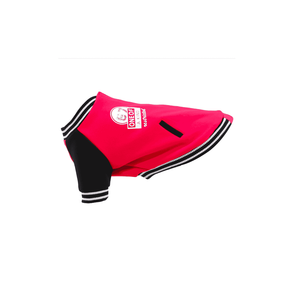 TrendLine dog coat box