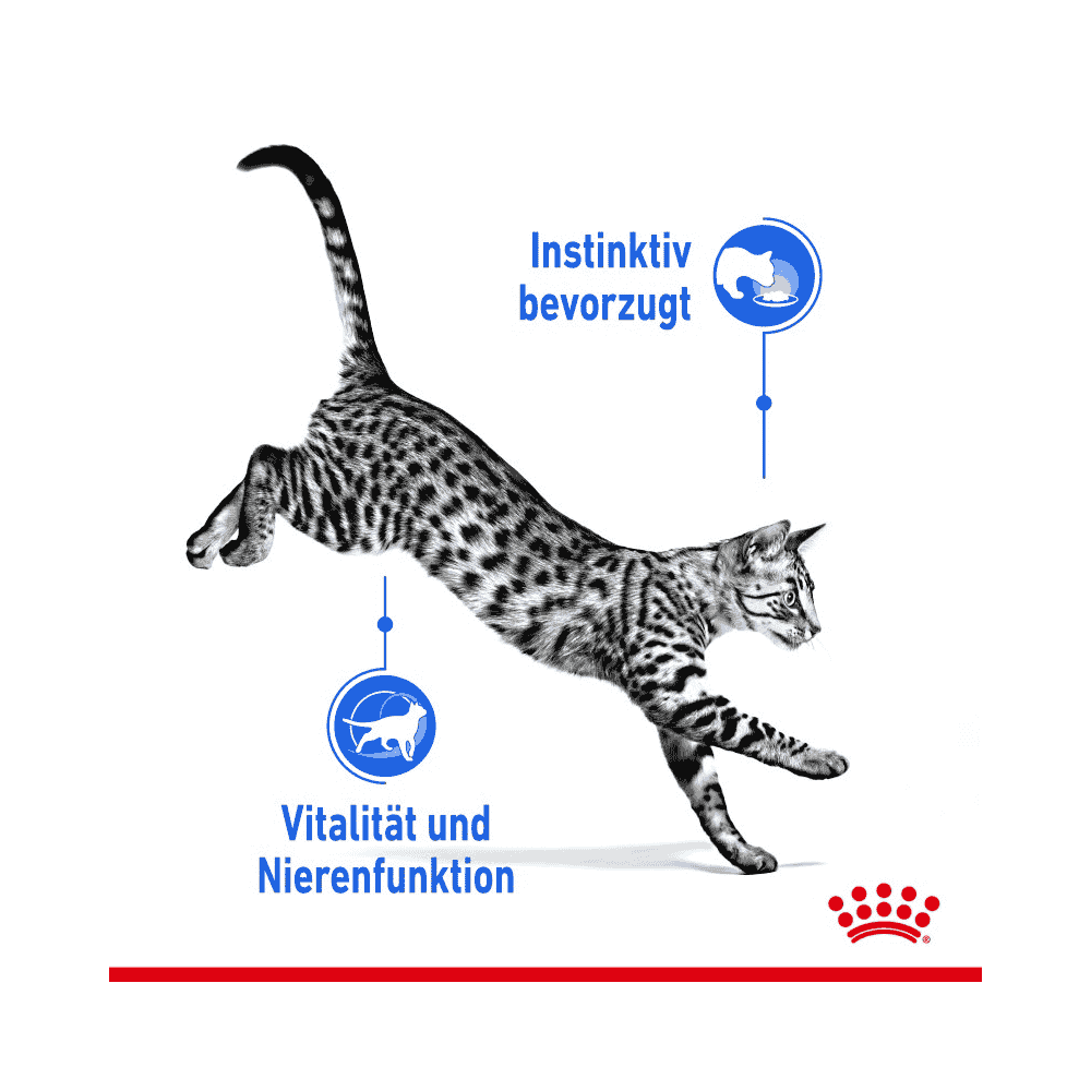 Indoor Cat 7+ - Frischebeutel