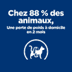 Feline Metabolic Weight loss & Maintenance Chicken - Nouveau : Weight & diabetes management