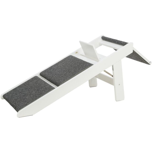 Ramp with fold-out steps