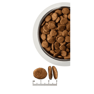 Weight Control Dog Dry