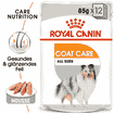 Coat Care Wet