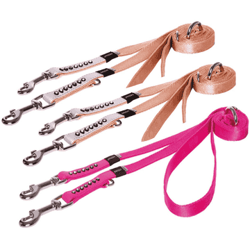 Laisse pour chien Luna