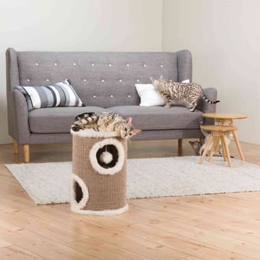 Cat Tower Edoardo