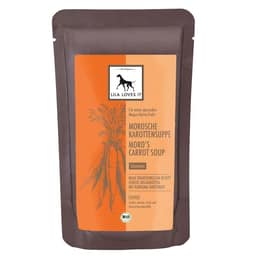 Bio Morosche Karottensuppe