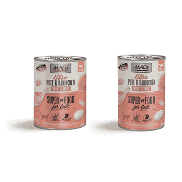 CAT Kitten Dinde et Lapin