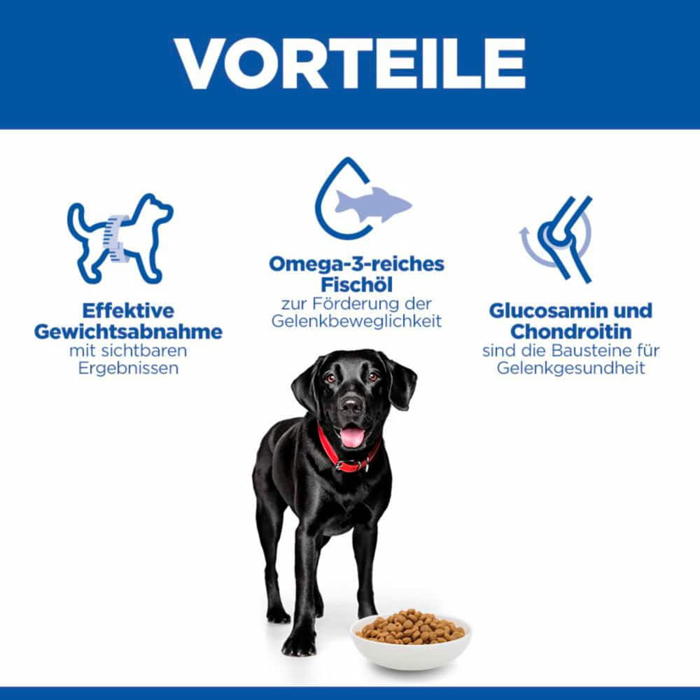 Canine Perfect Weight + Active Mobility Large Breed