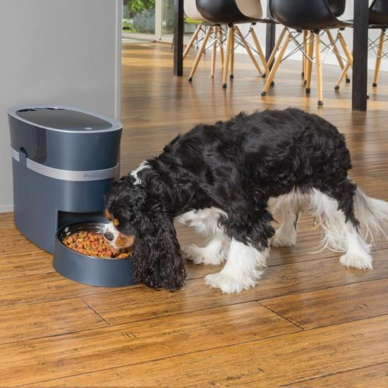 Smart Feed Alimentateur automatique WIFI
