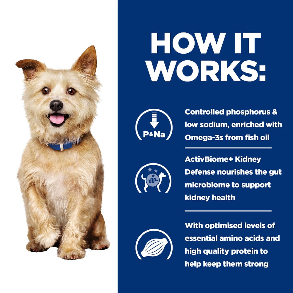 Canine k/d Kidney Care Original - Can