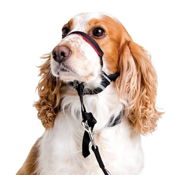 Optifit Headcollar, schwarz