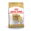 Jack Russel Terrier