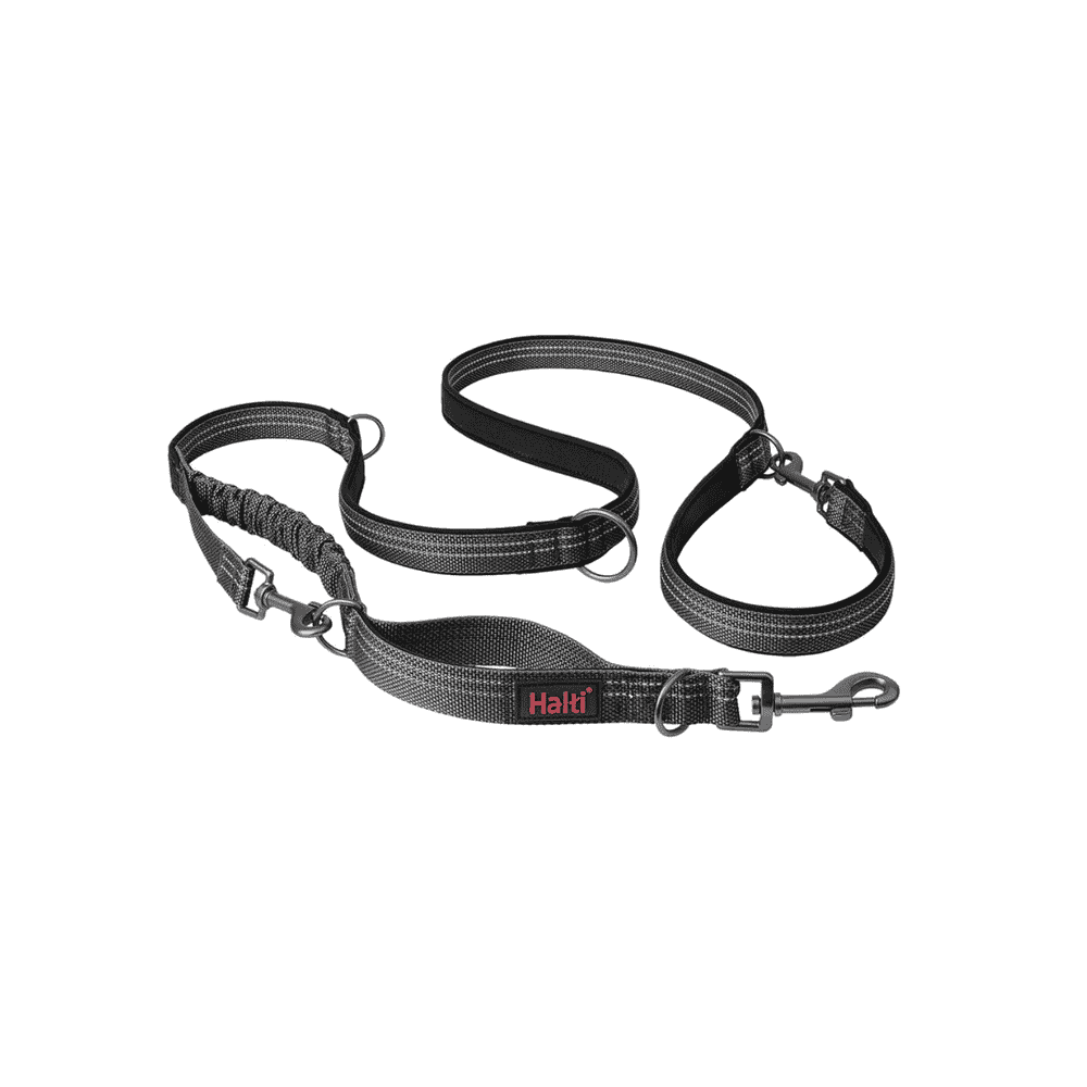 Anatomy leashes, gray