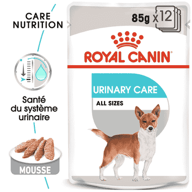 Urinary Care Wet