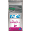 Feline Struvite Management