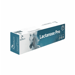 Lactanase Pro Paste