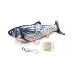Fish-Dancer Carpe