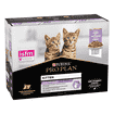 Kitten Healthy Start Truthahn
