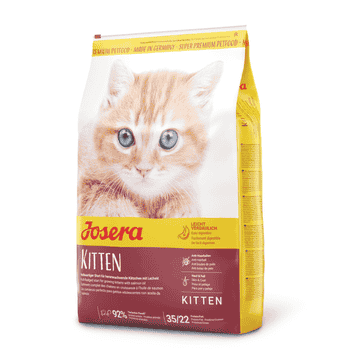 Kitten