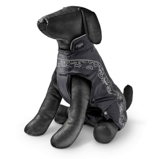 Regenmantel Rainskin schwarz