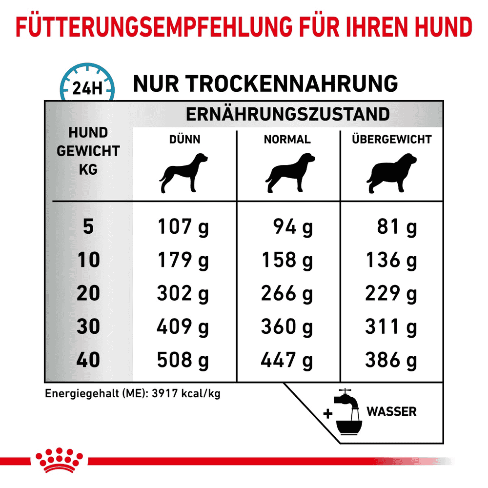 Anallergenic Dog